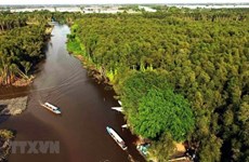 Всемирный день окружающей среды 5 июня: cохранение экосистем в дельте Меконга
