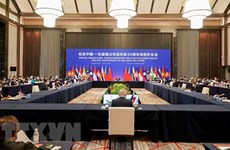 Специальная конференция министров иностранных дел Китая и АСЕАН