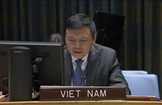 Вьетнам обещает повысить роль Устава ООН и международного права