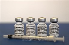 Минздрав одобрил вакцину от COVID-19 Pfizer / BioNTech