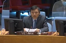 Вьетнам голосует за резолюцию ООН, призывающую к отмене эмбарго США против Кубы