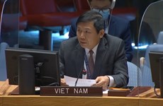 Вьетнам призывает продолжить гуманитарную помощь Сирии в условиях тупика политического процесса