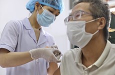 Началось второе испытание третьей фазы вьетнамской вакцины Nano Covax против COVID-19