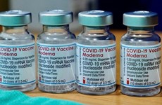 Во Вьетнам доставлен вакцины Pfizer / BioNtech - США: вакцина COVID-19 для Вьетнама была передана через механизм COVAX