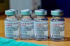 Официальный представитель МИД: Вьетнам желает, чтобы страны усилили обмен информацией о вакцинах COVID-19