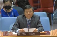 Вьетнам приветствует усилия Центра превентивной дипломатии ООН в Центральной Азии