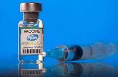 К концу года во Вьетнам доставят около 50 миллионов доз вакцины Pfizer