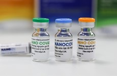 Вьетнам консультируется с экспертами по разработке отечественных вакцин против COVID-19