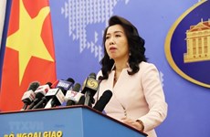 Вьетнам быстро примет меры по защите своих граждан в связи со смертью вьетнамца в Японии