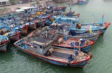 Вьетнам просит Китай не осложнять ситуацию в Восточном море