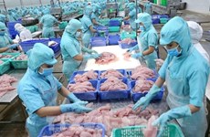 Опубликован отчет о влиянии «желтой карточки» ННН на рыбный сектор Вьетнама