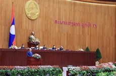 Министр иностранных дел Лаоса: Визит президента Вьетнама отражает уникальные связи Лаоса и Вьетнама