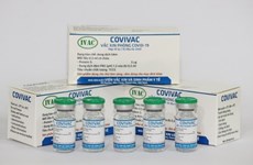 Отечественная вакцина-кандидат Covivac начинает второй этап клинических испытаний