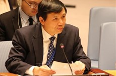 Посол Вьетнама в СБ ООН: технология помогает защищать и самих миротворцев