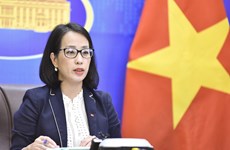 Очередная пресс-конференция МИД: Вьетнам твердо обязался реагировать на изменение климата