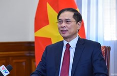 Пробуждать потенциал у зарубежных вьетнамцев, способствуя развитию страны