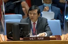 Вьетнам призывает обеспечить безопасность выборов в Ираке