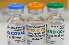 Вакцина Наноковакс отвечает требованиям безопасности