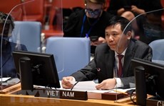 Вьетнам подчеркивает роль международного права в решении глобальных проблем
