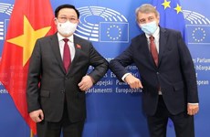 Председатель Национального собрания Выонг Динь Хюэ провел переговоры с председателем Европарламента