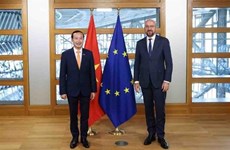Вьетнам расширяет сотрудничество с ЕС и Бельгией