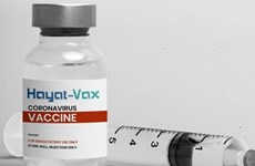 Hayat - Vax стал седьмой вакциной против COVID-19, одобренной во Вьетнаме