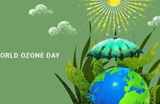 Международный день защиты озонового слоя (16 сентября): Вьетнам объединяет усилия