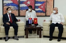 Вьетнам и Куба делятся опытом партийного строительства