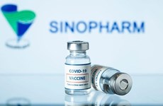 Правительство согласилось купить 20 миллионов доз вакцины Vero Cell от Sinopharm