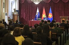 Министр иностранных дел Вьетнама встретился с представителями вьетнамской общины в России