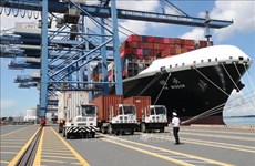 Морские порты Вьетнама обработали более 537,7 миллиона тонн товаров за девять месяцев