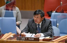 Вьетнам сожалеет о высылке Эфиопией должностных лиц ООН