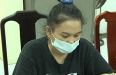 Виньфук: женщина арестована за распространение антигосударственной пропаганды