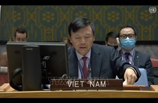 Вьетнам и СБ ООН: устранение коренных причин конфликтов является ключом к построению устойчивого и мирного государства