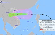 Заместитель премьер-министра Ле Ван Тхань: Обеспечение безопасности при эвакуации людей из-за тайфуна № 8