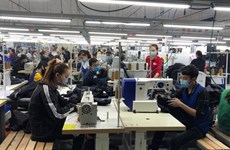 Фирмы с ПИИ в Тханьхоа нанимают десятки тысяч человек, несмотря на COVID-19