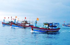 На пути к снятию «желтой карточки» ННН промысла: Киенжанг предотвращает нарушение рыболовными судами
