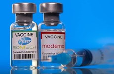 Министерство лицензировало вакцины Pfizer и Moderna для вакцинации детей