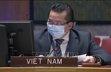 Вьетнам подтвердил поддержку международно-правовых процессов на Генеральной ассамблее ООН