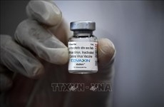 Министерство одобрило индийскую вакцину от COVID-19 Covaxin