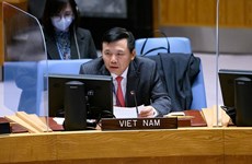 Вьетнам поддерживает миротворческие и полицейские операции ООН