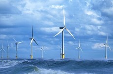Норвегия готова сотрудничать с Вьетнамом, чтобы «разбудить» потенциал оффшорной ветроэнергетики