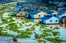 Дельте Меконга срочно нужны данные об изменении климата