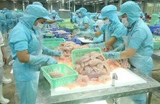 Пройдет онлайн-форум для продвижения торговли сельскохозяйственной и рыбной продукцией между Вьетнамом и Россией