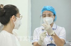Утром 23 ноября в Ханое начинают вводить вакцину Pfizer детям в возрасте 15-17 лет