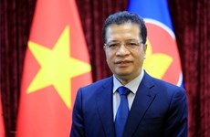 Посол Данг Минь Кхой: Вьетнам и Российская Федерация имеют доверительные и тесные отношения