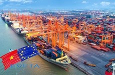 Вьетнам призвали улучшить политику для эффективного внедрения EVFTA