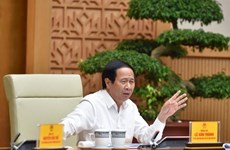 Заместитель премьер-министра назначил крайний срок для расчистки строительной площадки проекта международного аэропорта Лонгтхань