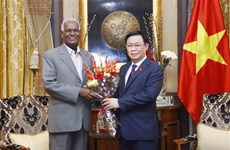 Председатель НC Выонг Динь Хюэ принял лидеров индийских политических партий