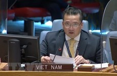 Вьетнам поддерживает расширение сотрудничества между СБ ООН и AUPSC